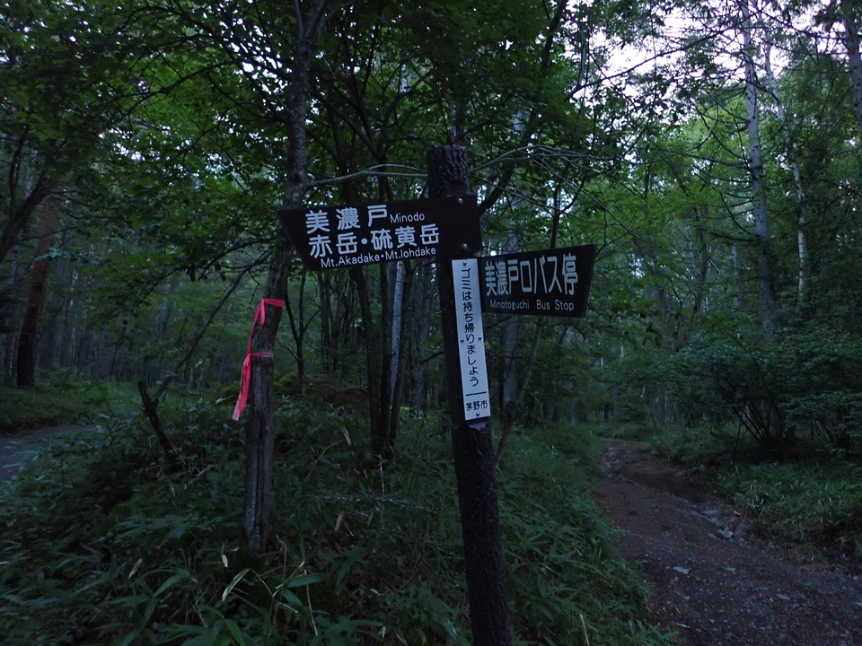 P8169341_mid.jpg
