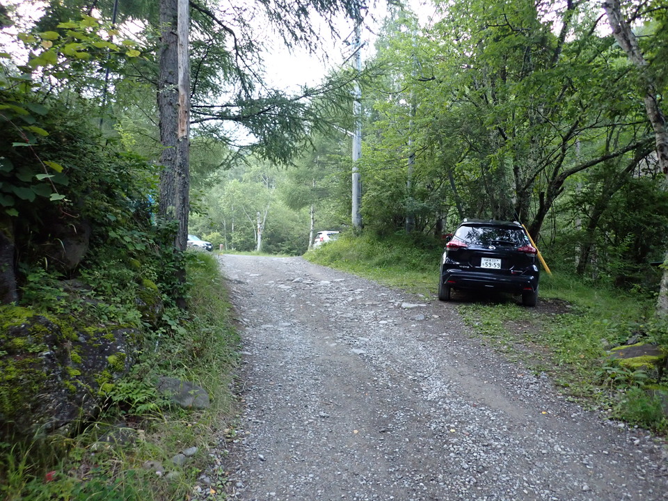P8169349_mid.jpg