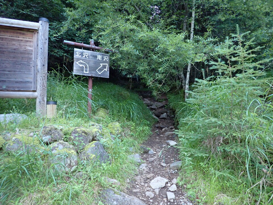P8169360_mid.jpg