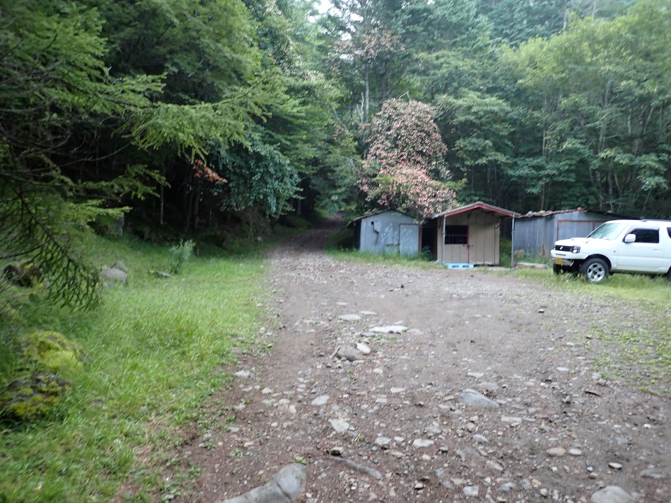 P8169369_mid.jpg