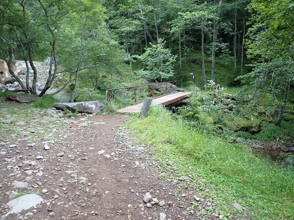 P8169371_mid.jpg