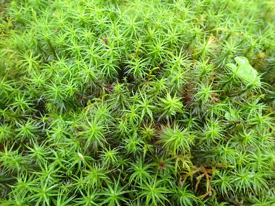 P8169472_mid.jpg