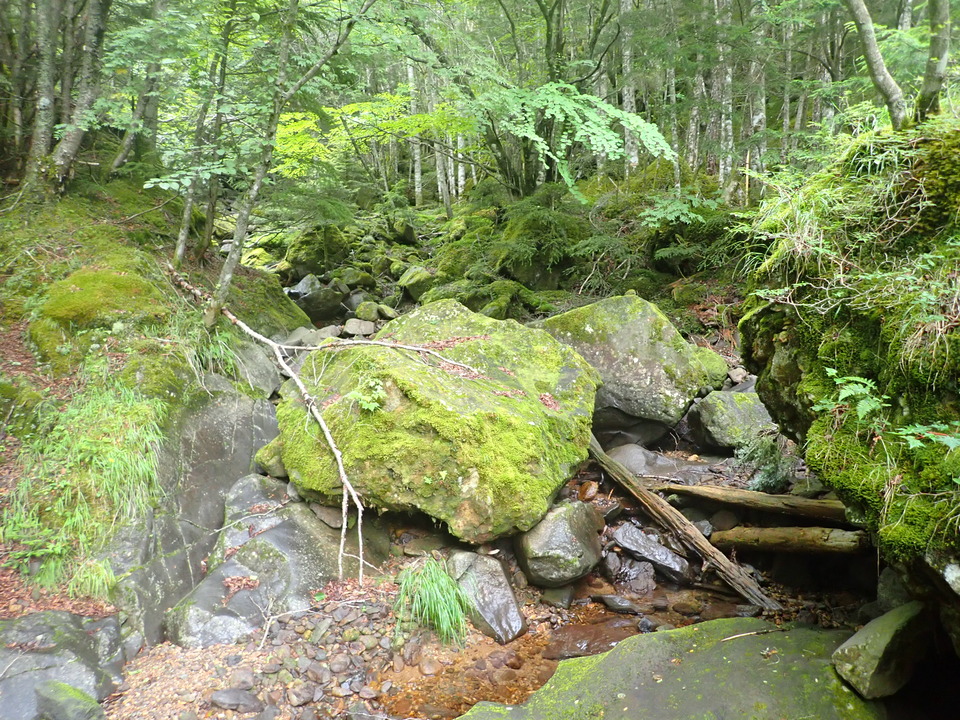 P8169499_mid.jpg